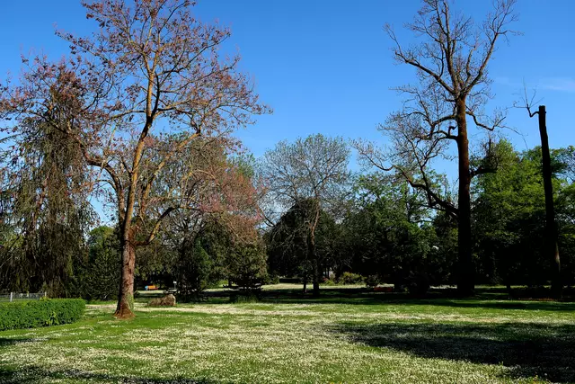 Foto: Eduard Warenik