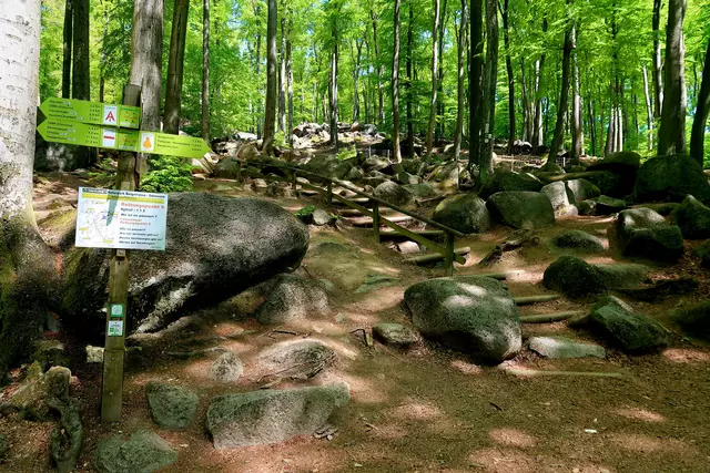 Foto: Eduard Warenik