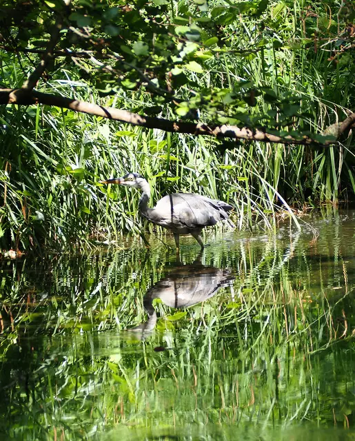 Wunderschöne Blütenpracht, viel Grün und spannende Architektur. Wenn leider kein eigener Garten zur Verfügung steht,  muss man sich mit einer unserer teils beeindruckenden Bundesgartenschauen (Heilbronn &amp; Mannheim) behelfen. 2019 und 2023 entstanden folgende Bilder.

Alle Bilder wurden mit der Olympus OM-D e-m5 Mark iii aufgenommen. | Foto: Sarah Aksamit-Grolik