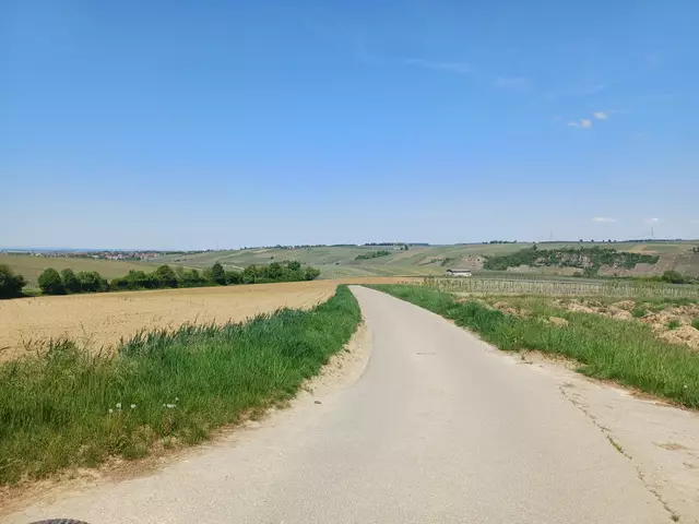 Foto: E. Rosendorf