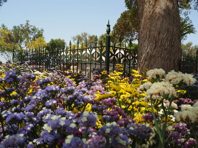 Ein öffentlicher Garten auf Malta.

Alle Bilder wurden mit der Olympus E-pl aufgenommen. | Foto: Sarah Aksamit-Grolik