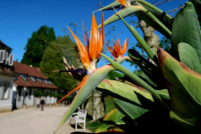 Foto: Eduard Warenik