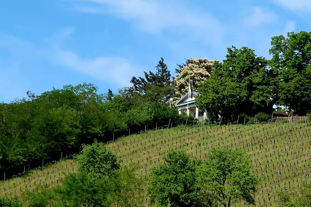 Foto: Eduard Warenik