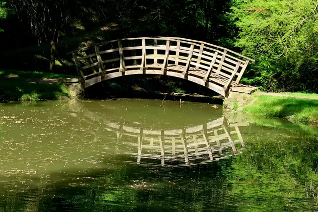 Foto: Eduard Warenik