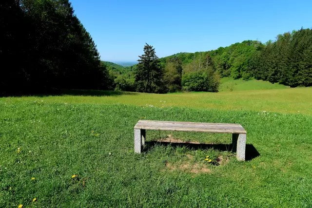 Foto: Eduard Warenik