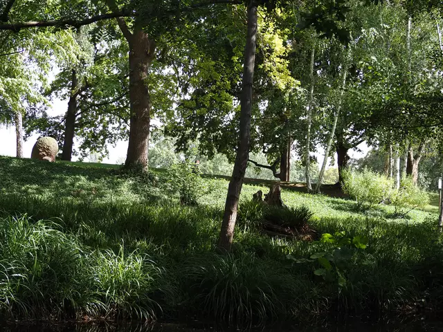 Wunderschöne Blütenpracht, viel Grün und spannende Architektur. Wenn leider kein eigener Garten zur Verfügung steht,  muss man sich mit einer unserer teils beeindruckenden Bundesgartenschauen (Heilbronn &amp; Mannheim) behelfen. 2019 und 2023 entstanden folgende Bilder.

Alle Bilder wurden mit der Olympus OM-D e-m5 Mark iii aufgenommen. | Foto: Sarah Aksamit-Grolik