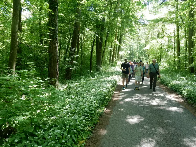 durch den Wald vor Stockheim | Foto: E. Rosendorf
