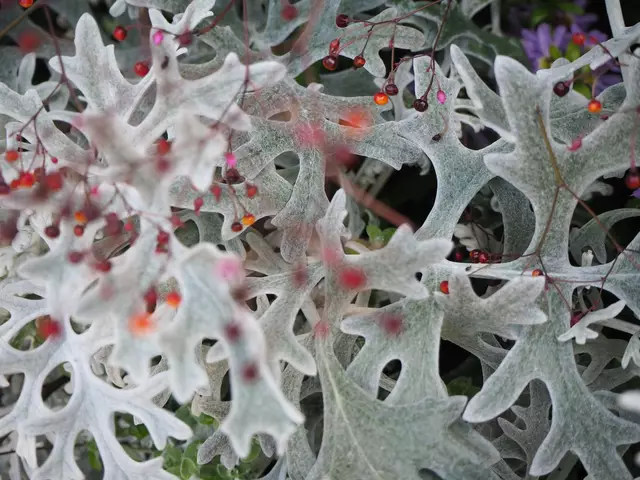 Wunderschöne Blütenpracht, viel Grün und spannende Architektur. Wenn leider kein eigener Garten zur Verfügung steht,  muss man sich mit einer unserer teils beeindruckenden Bundesgartenschauen (Heilbronn &amp; Mannheim) behelfen. 2019 und 2023 entstanden folgende Bilder.

Alle Bilder wurden mit der Olympus OM-D e-m5 Mark iii aufgenommen. | Foto: Sarah Aksamit-Grolik