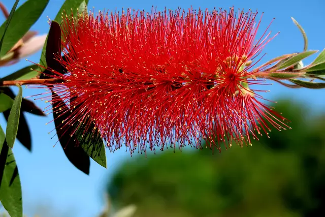 Foto: Eduard Warenik