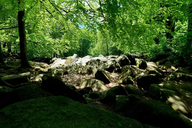 Foto: Eduard Warenik