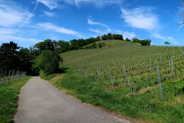 Foto: Eduard Warenik