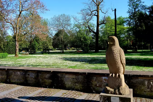 Foto: Eduard Warenik