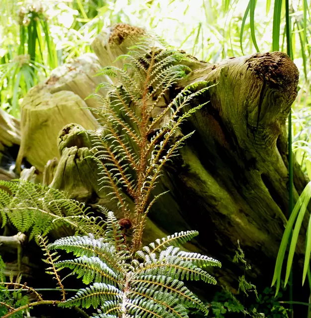 Wunderschöne Blütenpracht, viel Grün und spannende Architektur. Wenn leider kein eigener Garten zur Verfügung steht,  muss man sich mit einer unserer teils beeindruckenden Bundesgartenschauen (Heilbronn &amp; Mannheim) behelfen. 2019 und 2023 entstanden folgende Bilder.

Alle Bilder wurden mit der Olympus OM-D e-m5 Mark iii aufgenommen. | Foto: Sarah Aksamit-Grolik