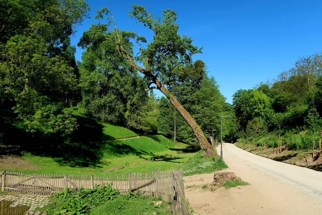 Foto: Eduard Warenik