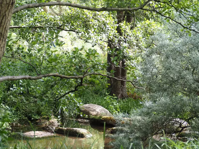 Wunderschöne Blütenpracht, viel Grün und spannende Architektur. Wenn leider kein eigener Garten zur Verfügung steht,  muss man sich mit einer unserer teils beeindruckenden Bundesgartenschauen (Heilbronn &amp; Mannheim) behelfen. 2019 und 2023 entstanden folgende Bilder.

Alle Bilder wurden mit der Olympus OM-D e-m5 Mark iii aufgenommen. | Foto: Sarah Aksamit-Grolik