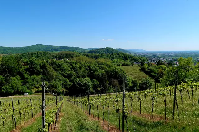 Foto: Eduard Warenik