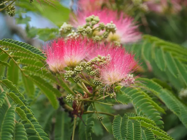 Wunderschöne Blütenpracht, viel Grün und spannende Architektur. Wenn leider kein eigener Garten zur Verfügung steht,  muss man sich mit einer unserer teils beeindruckenden Bundesgartenschauen (Heilbronn &amp; Mannheim) behelfen. 2019 und 2023 entstanden folgende Bilder.

Alle Bilder wurden mit der Olympus OM-D e-m5 Mark iii aufgenommen. | Foto: Sarah Aksamit-Grolik