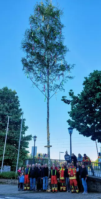 Maibaum in der Ortsmitte Herbolzheim | Foto: Feuerwehr Neudenau