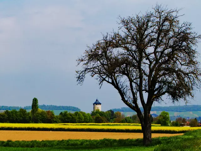 Der Wasserturm in Böckingen | Foto: KHW