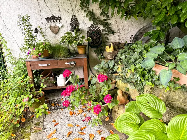 Foto: Heide Böllinger aus Bad Friedrichshall