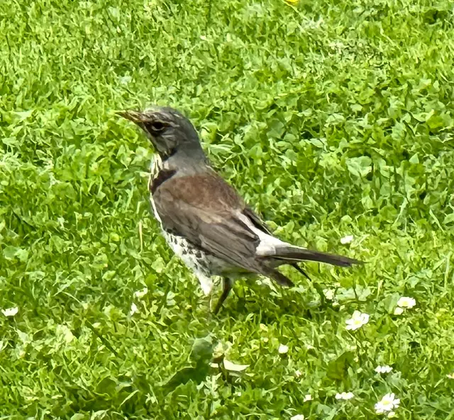 Foto: Heide Böllinger aus Bad Friedrichshall