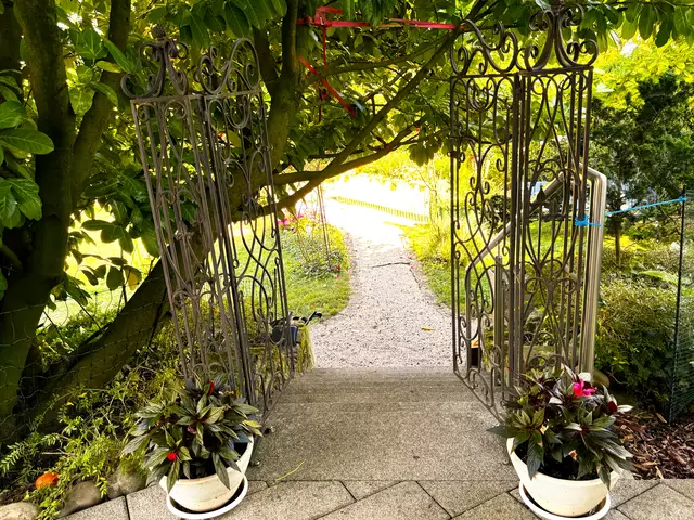 Foto: Heide Böllinger aus Bad Friedrichshall