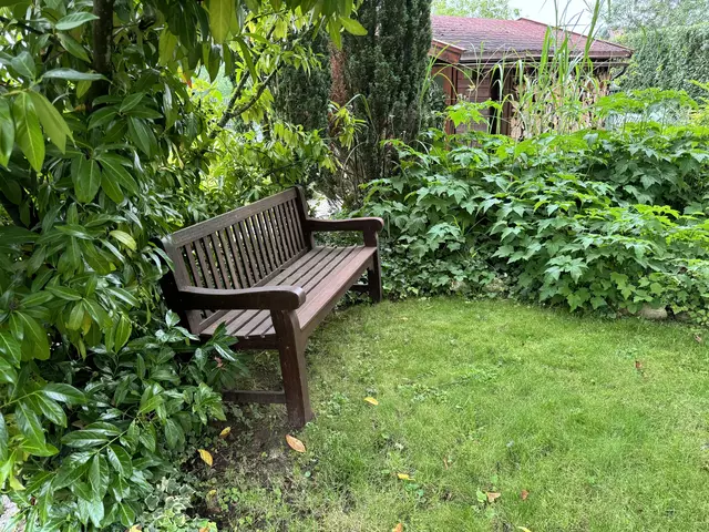 Foto: Heide Böllinger aus Bad Friedrichshall