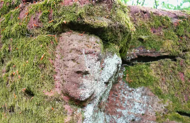 Felsgesicht am Jüngstberg. | Foto: Isolde Reitz