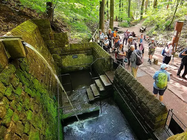 Die einzige, noch existierende Waldusche bei Gleisweiler hat eine Wassertemperatur von 8 - 12 Grad. | Foto: Isolde Reitz