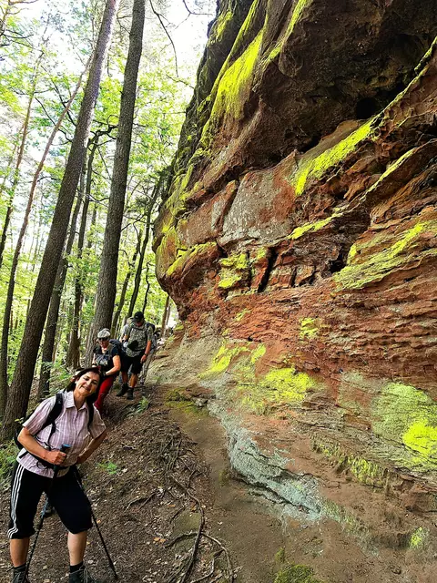 Zitronengelb - leuchtende Flechten entlang des Bergmassiv. | Foto: Isolde Reitz