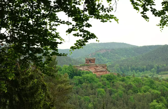 Blick zum mächtigen "Drachenfelsen." | Foto: Isolde Reitz