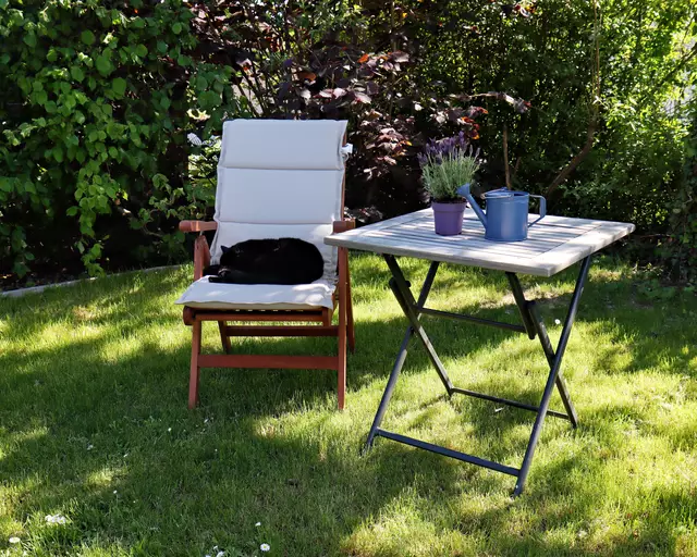 Gartenglück mit Katze | Foto: Daniela Harrer