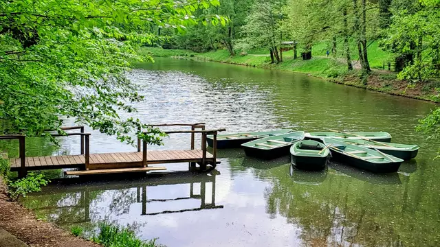 Still und romantisch liegt der Hilschweiher im Wald versteckt. | Foto: Isolde Reitz
