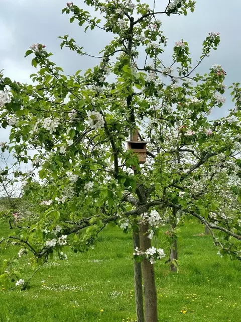Foto: Gemeinde Pfedelbach