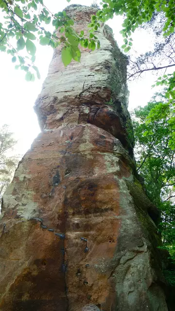 Riesiger Solitär, der den Wald überragt - der Napoleonfels. | Foto: Isolde Reitz