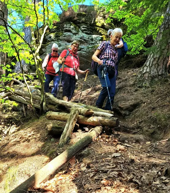 Abstieg vom Heidenturm zur "Drachenfelshütte." | Foto: Isolde Reitz
