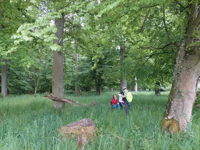 Genussvoll ist die Rast auf der Waldwiese unter großen alten Bäumen. | Foto: Foto privat