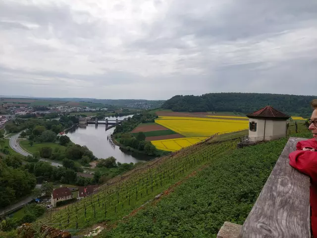 Leuchtendgelbe Rapsfelder bieten dem grauen Wetter Paroli. | Foto: Foto privat