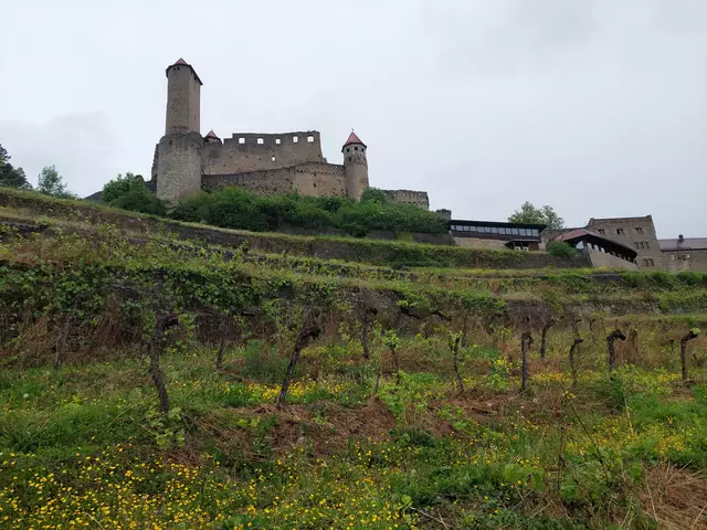 Alte Weinanlagen erstrecken sich am unterhalb der komplett erhaltenen mittelalterlichen Burganlage. | Foto: Foto privat