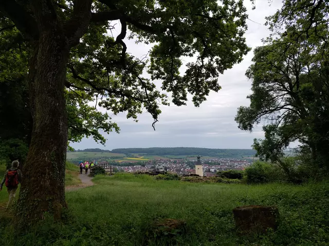 Vom perfekt gelegenen Aussichtspunkt hat man einen herrlichen Blick auf Gundelsheim. | Foto: Foto privat