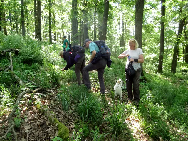Sehr interessierte Wanderer | Foto: WandernGabyErich
