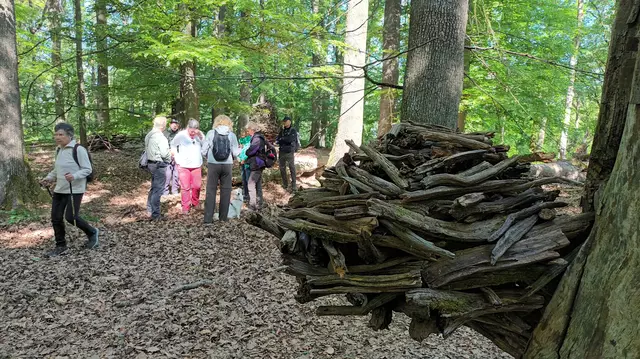 Beim Holzei entsteht ein neues Kunstwerk | Foto: WandernGabyErich