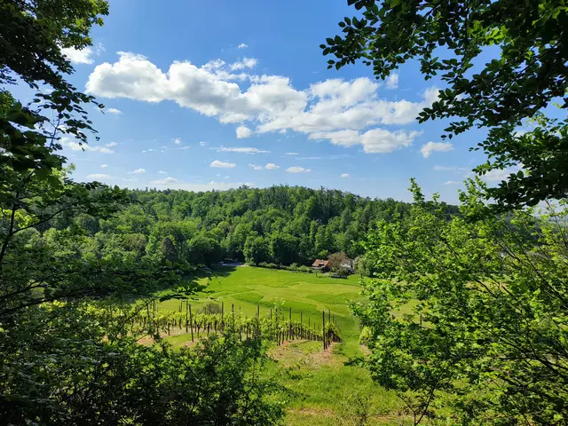 Aussicht vom Heiligenberg | Foto: Aurelia Kling