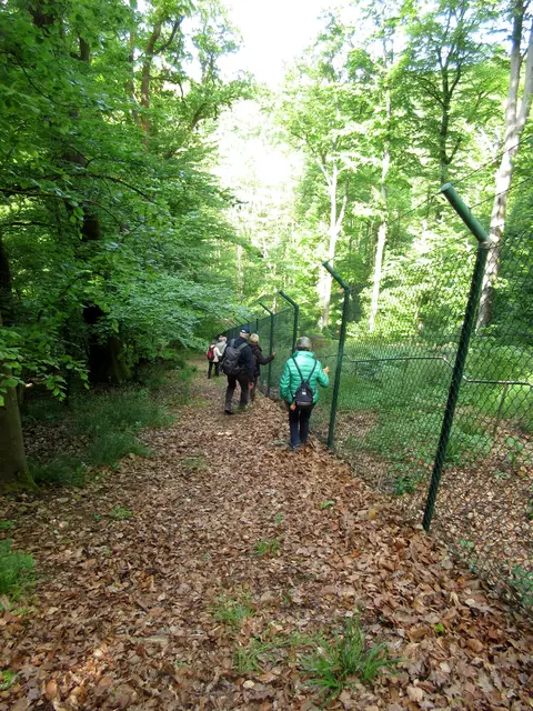 Innen wäre ja eine Treppe.... außen geht es sehr steil bergab | Foto: WandernGabyErich