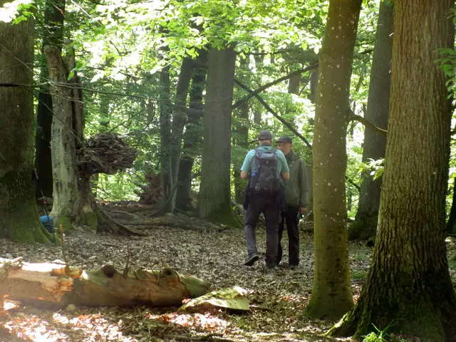 Ein Bild hin, ein Bild her | Foto: WandernGabyErich
