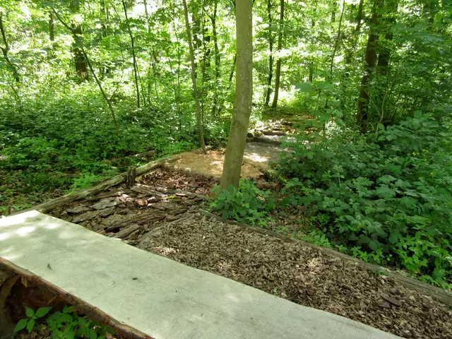 Immer wieder was Neues im Heilbronner Wald, Barfußpfad beim Steinkreis | Foto: WandernGabyErich