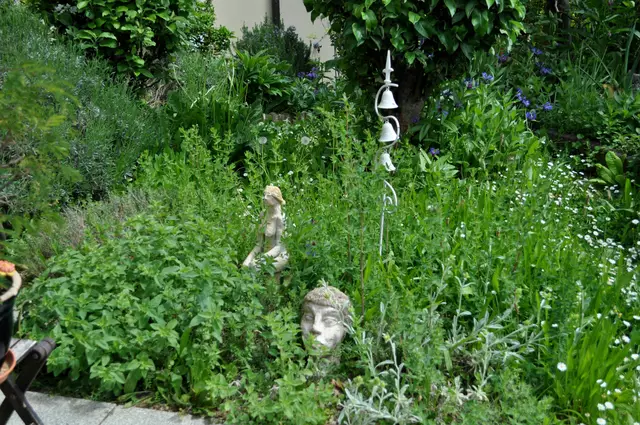 2025. Das Kräuterbeet, dass ich 2021 angelegt habe. Hier wächst im Vordergrund Griechischer Bergtee und Katzengamander. Links wächst der wilde Majoran (Dost). Dahinter gibts noch Thymian und Johanniskraut. | Foto: Daniela Somers