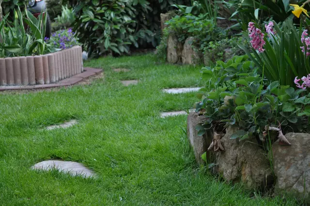 Das war einmal. Frühjahr 2013. | Foto: Daniela Somers