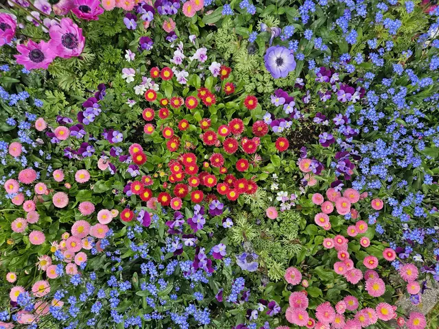 Buntes Blumenbeet | Foto: Stephanie Rüdele 