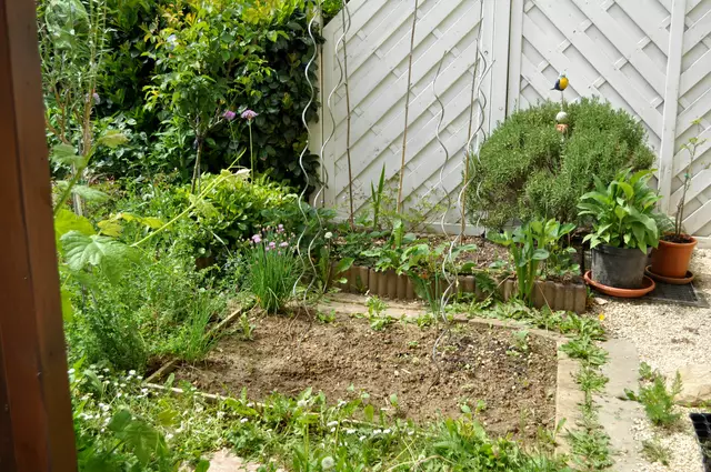 2025. Noch sind die zwei Beete fast leer. Hier ist der Platz für Tomaten und Gurken. | Foto: Daniela Somers